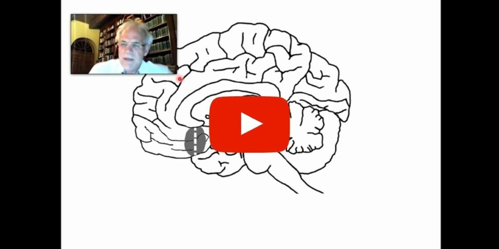 Link to youtube video lecture by Mark Solms What Do Our Brains Do When We're Dreaming? 