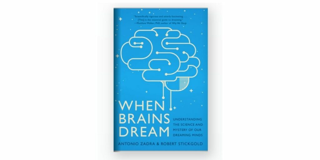 Link to When Brains Dream the book website 
